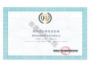 陜西省行業優.秀企業