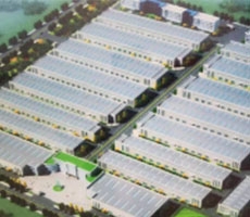 泰鑫鋼結構工程—構建美好生活！